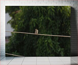 Πίνακας, Bird on a Wire Πουλί σε σύρμα