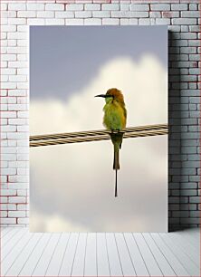 Πίνακας, Bird on a Wire Πουλί σε σύρμα