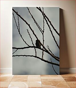 Πίνακας, Bird on Bare Branches Πουλί σε γυμνά κλαδιά