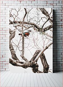 Πίνακας, Bird on Branch in Winter Bird on Branch το χειμώνα