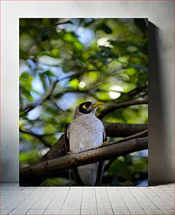 Πίνακας, Bird on Branch Bird on Branch