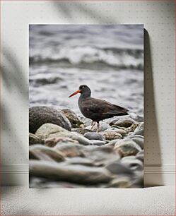 Πίνακας, Bird on Rocky Shore Bird on Rocky Shore