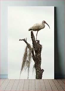 Πίνακας, Bird on Tree Bird on Tree