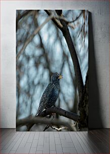 Πίνακας, Bird Perched on a Tree Πουλί σκαρφαλωμένο σε ένα δέντρο