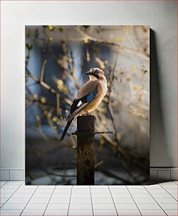 Πίνακας, Bird Perched on Rusty Post Πουλί σκαρφαλωμένο στο Rusty Post