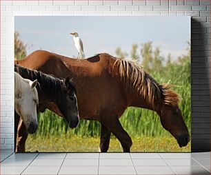 Πίνακας, Bird Riding a Horse Bird Riding a Horse