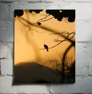 Πίνακας, Bird Silhouette at Sunset Σιλουέτα πουλιού στο ηλιοβασίλεμα