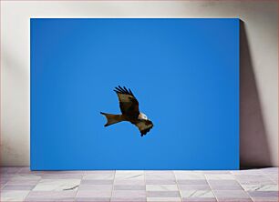 Πίνακας, Bird Soaring in Blue Sky Πουλί που πετά στα ύψη στο γαλάζιο του ουρανού