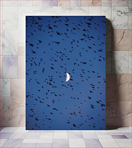 Πίνακας, Birds Flying at Dusk Πουλιά που πετούν το σούρουπο