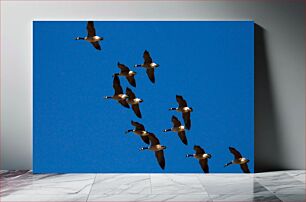 Πίνακας, Birds in Flight Πουλιά σε πτήση