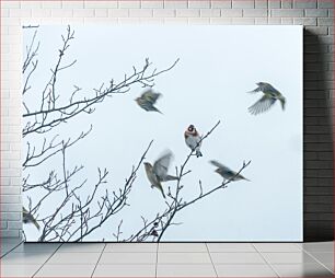 Πίνακας, Birds in Winter Πουλιά το Χειμώνα