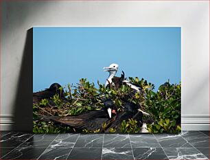 Πίνακας, Birds on a Tree Πουλιά σε ένα δέντρο