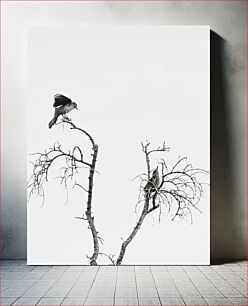 Πίνακας, Birds on Bare Branches Πουλιά σε γυμνά κλαδιά