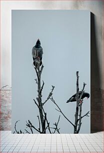 Πίνακας, Birds on Bare Branches Πουλιά σε γυμνά κλαδιά