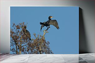 Πίνακας, Birds Perched on a Tree Πουλιά σκαρφαλωμένα σε ένα δέντρο