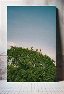 Πίνακας, Birds Resting on a Tree Πουλιά που στηρίζονται σε ένα δέντρο