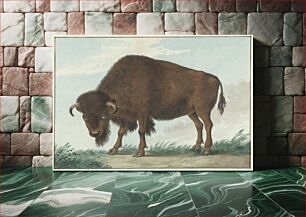 Πίνακας, Bison (1808) by Isaac Van Haastert