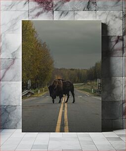 Πίνακας, Bison Crossing the Road Βίσωνας που διασχίζει το δρόμο