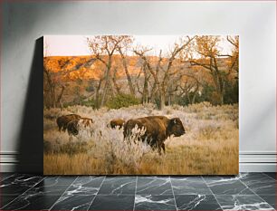 Πίνακας, Bison in Autumn Landscape Βίσωνας στο φθινοπωρινό τοπίο