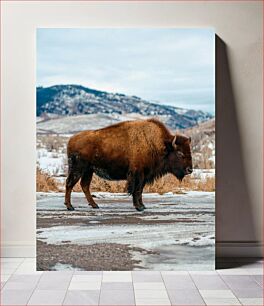 Πίνακας, Bison in Snowy Landscape Βίσωνας στο χιονισμένο τοπίο