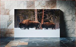 Πίνακας, Bison in Winter Forest Βίσωνας στο Χειμερινό Δάσος