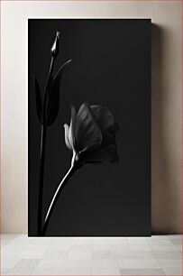 Πίνακας, Black and White Flower Μαύρο και άσπρο λουλούδι