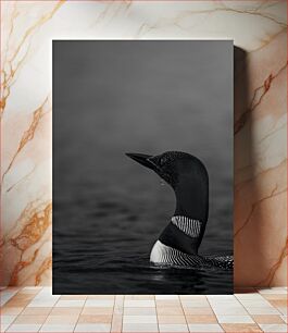 Πίνακας, Black and White Loon Ασπρόμαυρο Loon