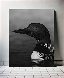 Πίνακας, Black and White Loon Ασπρόμαυρο Loon