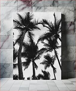 Πίνακας, Black and White Palm Trees Ασπρόμαυροι φοίνικες