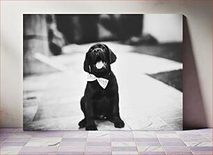 Πίνακας, Black and White Puppy with Bow Tie Ασπρόμαυρο κουτάβι με παπιγιόν