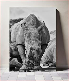 Πίνακας, Black and White Rhino Ασπρόμαυρος Ρινόκερος