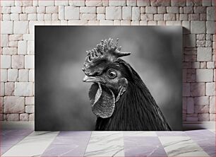 Πίνακας, Black and White Rooster Ασπρόμαυρος κόκορας