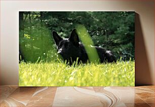 Πίνακας, Black Dog in the Grass Black Dog in the Grass