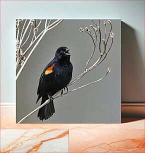 Πίνακας, Blackbird on a Branch Κοτσύφι σε ένα κλαδί