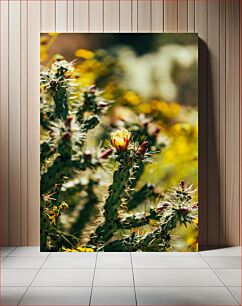 Πίνακας, Blooming Cactus Ανθισμένος Κάκτος