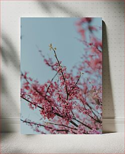 Πίνακας, Blooming Pink Flowers Ανθισμένα ροζ λουλούδια