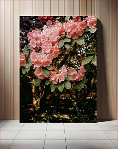 Πίνακας, Blooming Pink Flowers Ανθισμένα ροζ λουλούδια