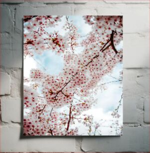 Πίνακας, Blossoming Cherry Tree Ανθισμένη κερασιά