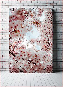 Πίνακας, Blossoming Cherry Trees Ανθισμένες κερασιές