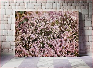 Πίνακας, Blossoming Heather Ανθισμένη Ερείκη