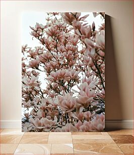 Πίνακας, Blossoming Magnolia Ανθισμένη Μανόλια