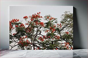 Πίνακας, Blossoming Red Flowers on Tree Ανθισμένα κόκκινα λουλούδια στο δέντρο