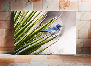 Πίνακας, Blue Bird on Plant Blue Bird on Plant