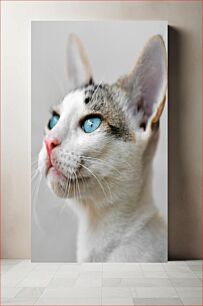 Πίνακας, Blue-Eyed Cat Γαλανομάτη Γάτα