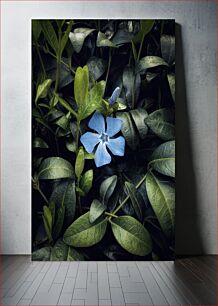 Πίνακας, Blue Flower in Greenery Μπλε λουλούδι στο πράσινο