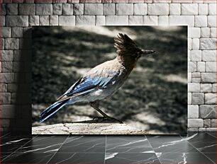 Πίνακας, Blue Jay on Tree Stump Blue Jay στο κούτσουρο δέντρου