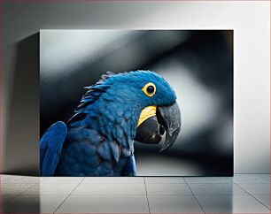 Πίνακας, Blue Parrot Close-Up Κοντινό πλάνο Μπλε Παπαγάλος