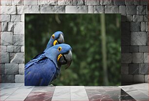 Πίνακας, Blue Parrots in Nature Μπλε Παπαγάλοι στη Φύση