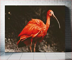 Πίνακας, Bright Red Bird Φωτεινό κόκκινο πουλί