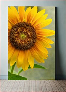 Πίνακας, Bright Sunflower Close-up Κοντινό πλάνο φωτεινό ηλίανθο